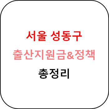  서울 성동구 출산지원금 및 지원정책 총정리