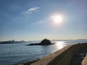효자도 배시간표 배편 예매 요금 민박_26