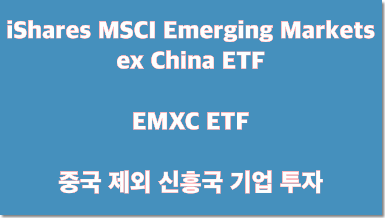 EMXC ETF - 중국 제외 신흥국 기업 투자 Emxc Etf - 중국 제외 신흥국 기업 투자
