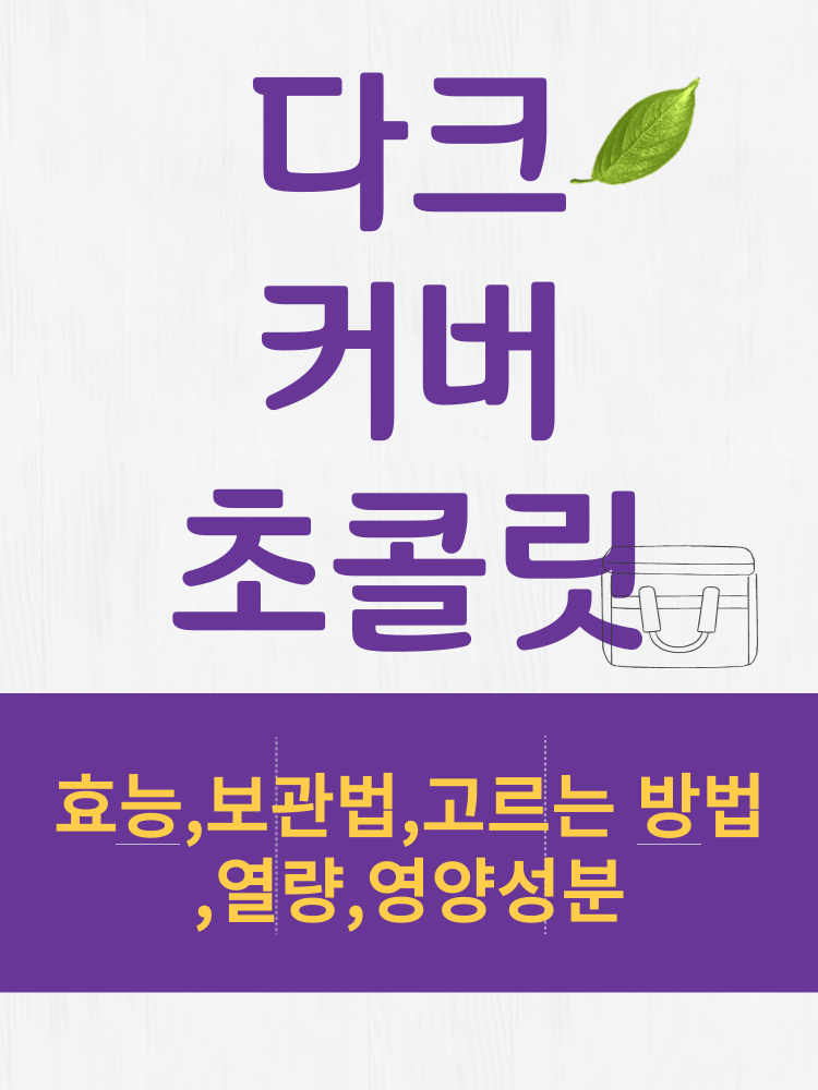  다크커버춰초콜릿 효능 및 열량과 보관법 칼로리 총정리 