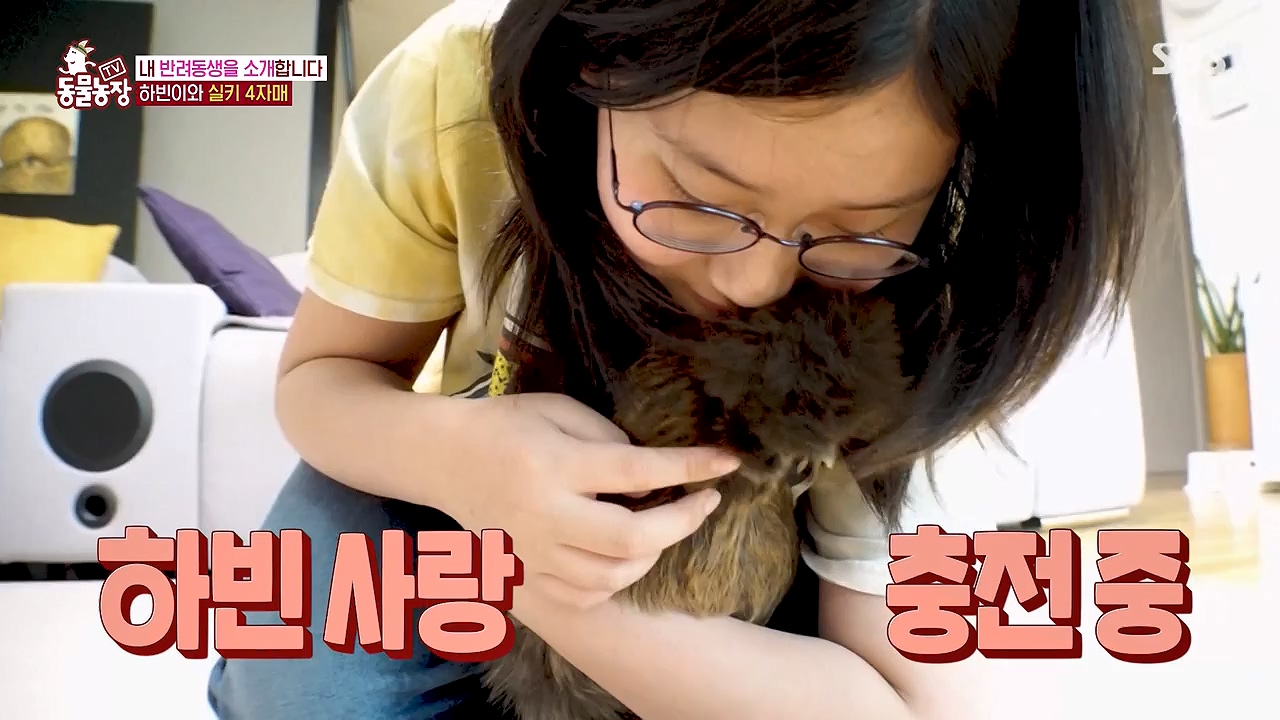 TV 동물농장.E1175.240610p-NEXT.mp4_20240609_160246.149.jpg