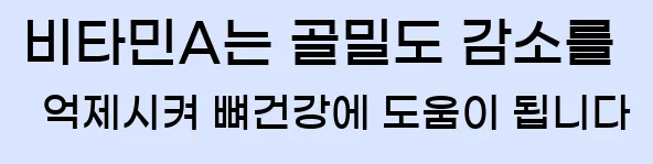  비타민A는 골밀도 감소를 억제시켜 뼈건강에 도움이 됩니다
