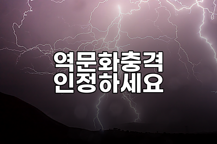 역문화충격 인정하세요