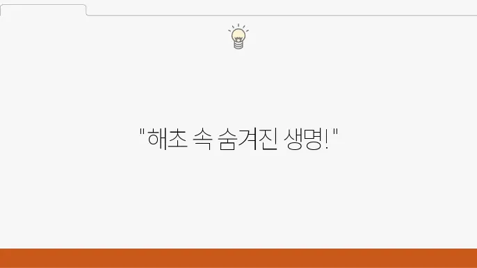 해초강의 지속 가능한 관리 방안