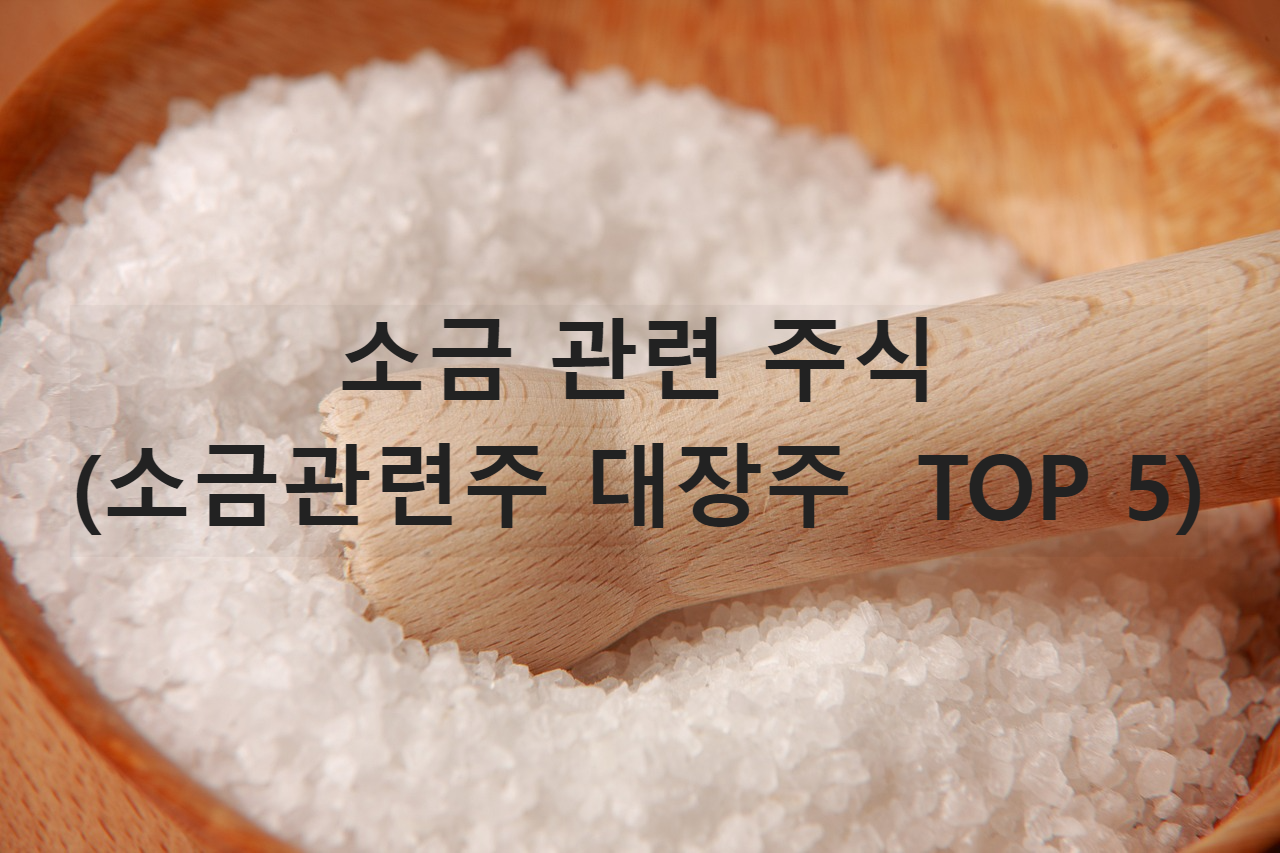 소금 관련 주식(소금관련주 대장주 TOP 5)