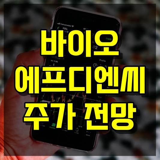 바이오에프디엔씨 주가 전망