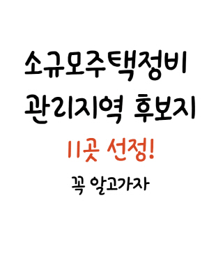 소규모주택정비 관리지역 후보지