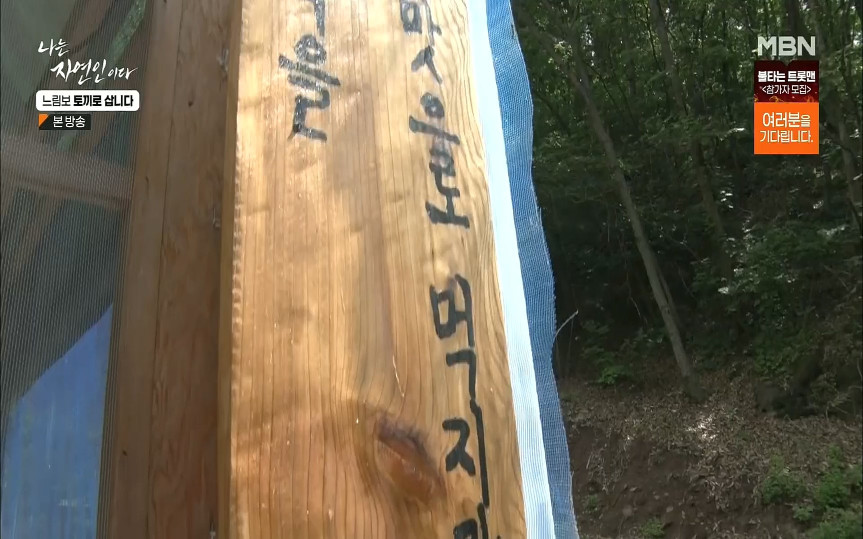나는 자연인이다.E514.220810p.H264-F1RST.mp4_20220811_202558.430.jpg