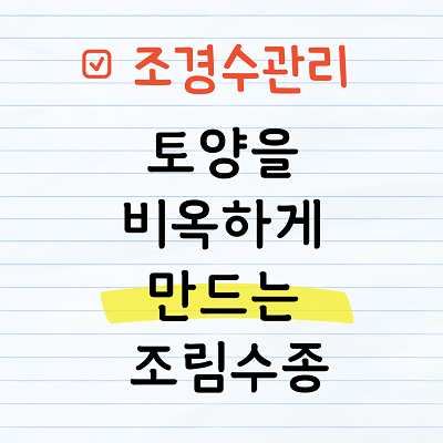 토양을 비옥하게 만드는 조림수종