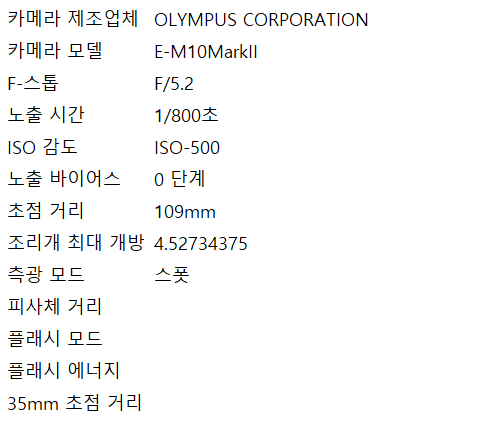 사진스펙