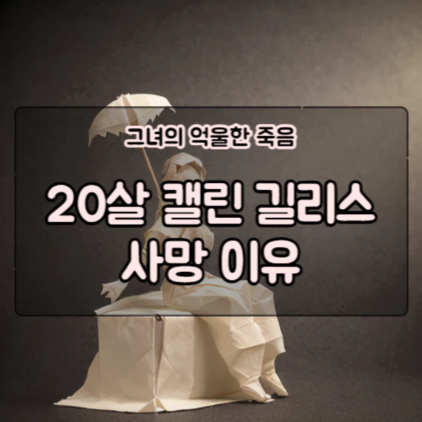  캘린 길리스씨 총격 사건 이야기