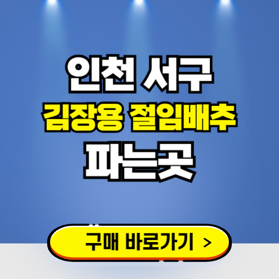 인천 서구 절임배추 사전예약 구입하는곳 ❘ 김장배추 파는곳 가격보기