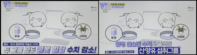 산양유 혈당수치 개선 사진입니다