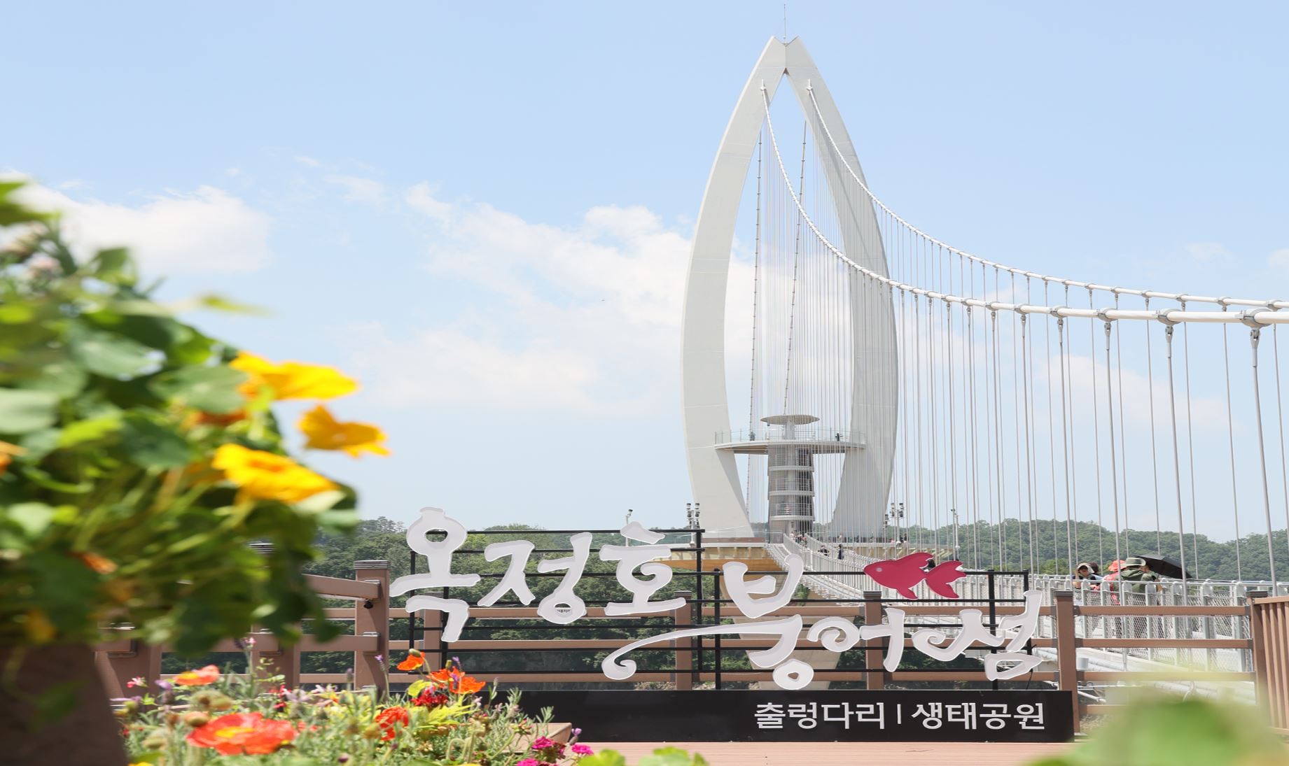 임실 옥정호 출렁다리 붕어섬 생태공원