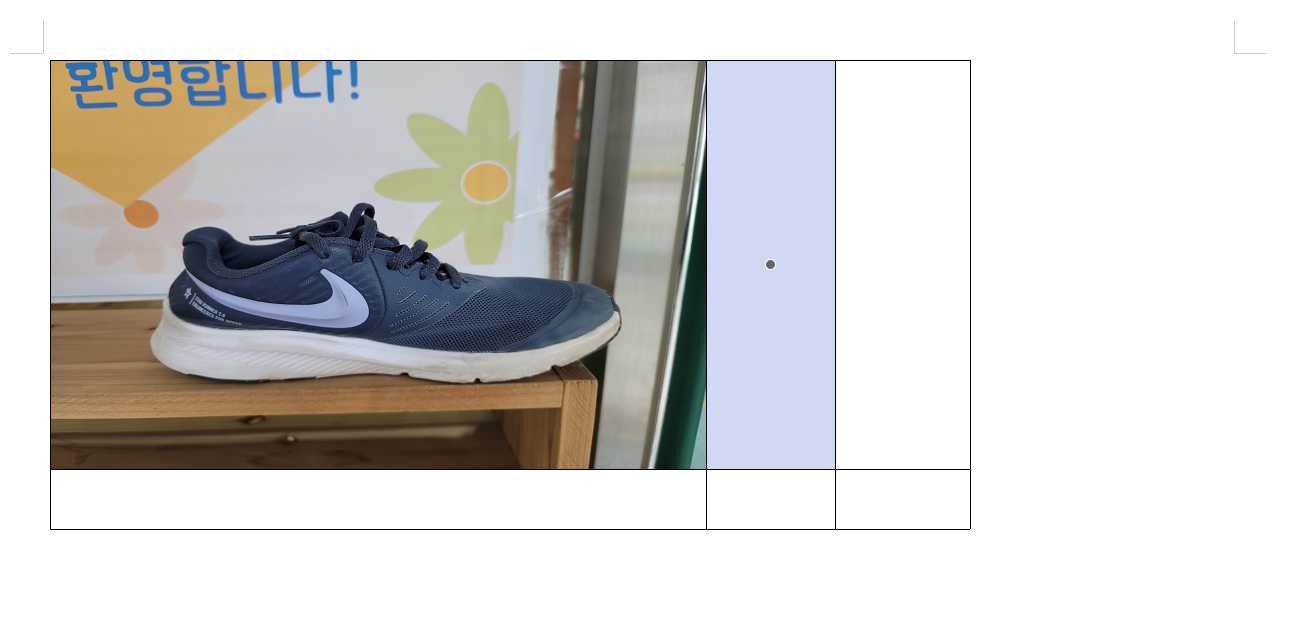 표 안에 사진 넣기가 완성된 모습(표 늘이기)