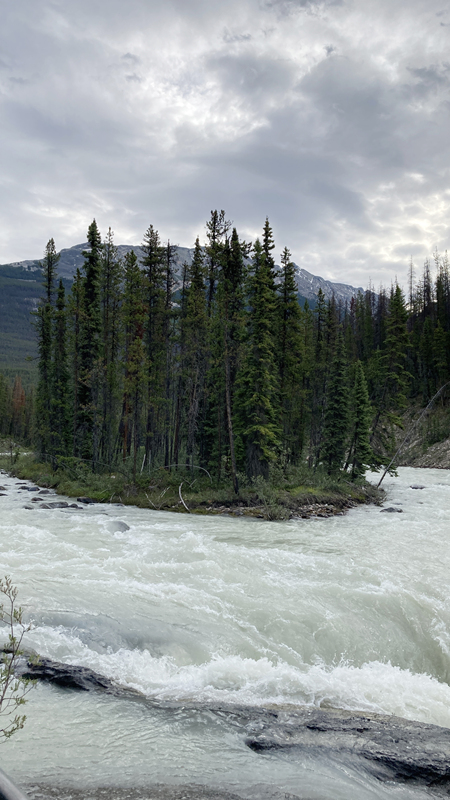 Sunwapta fall