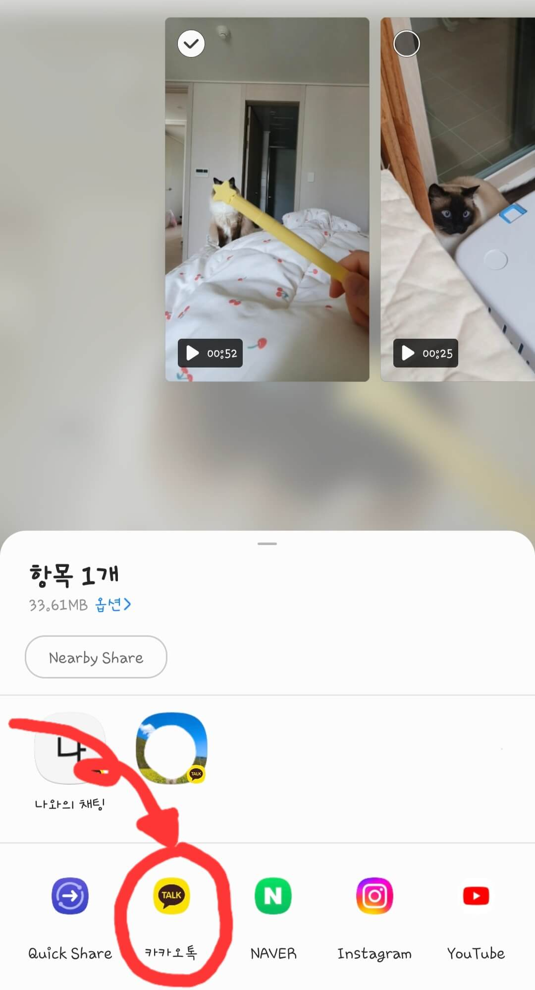 동영상-공유-화면