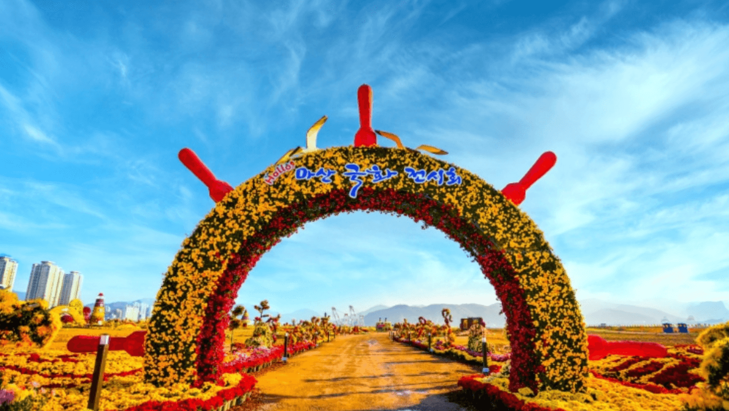 마산 국화축제 일정