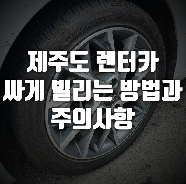  제주도 렌트카 싸게 빌리는 방법, 렌트카 비교 사이트가 쌀까?