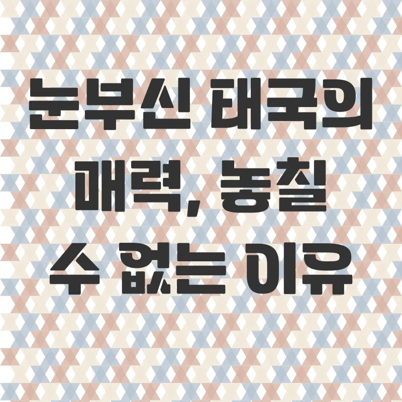 겨울방콕파타야여행_1