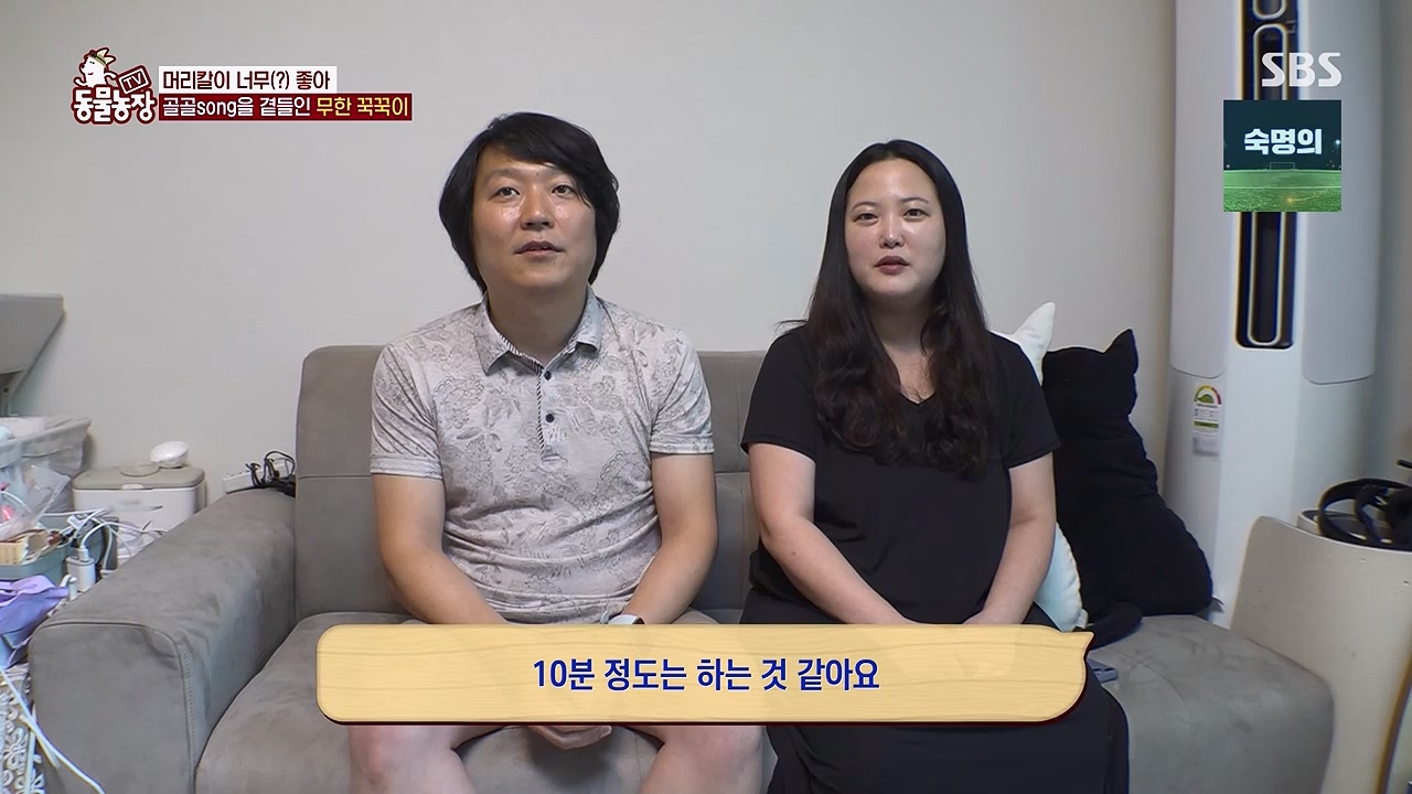 TV 동물농장 1189화 다시보기.ts_20240922_161940.476.jpg