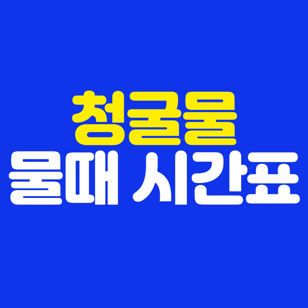 제주 김녕 청굴물 물때 시간표 실시간 확인 방법
