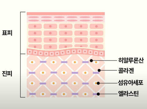 보습 히알루론산 활용 방법인 화장품 선택과 식품 섭취
