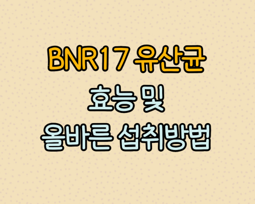 BNR17 유산균 효능 및 섭취방법
