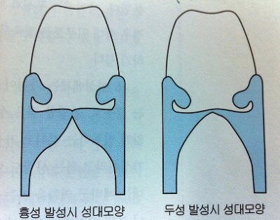  03) 두성 만들기 ( 고음 발성, 헤드보이스, transglottal pressure )