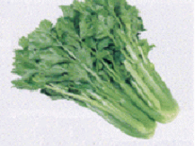 샐러리 효능 10가지 40