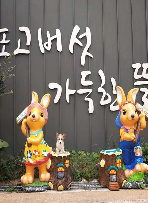 표고버섯가득한뜰