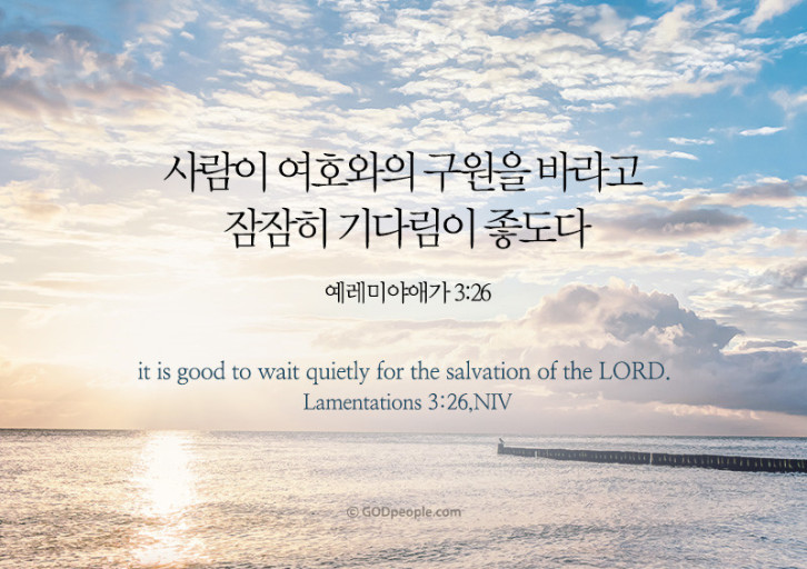 애가 이미지