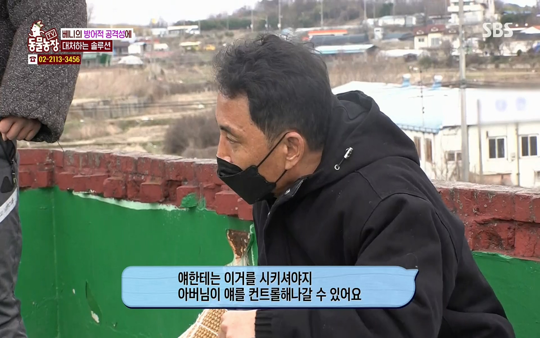 TV 동물농장.E1064.220410p.H264-F1RST.mp4_20220410_184941.571.jpg
