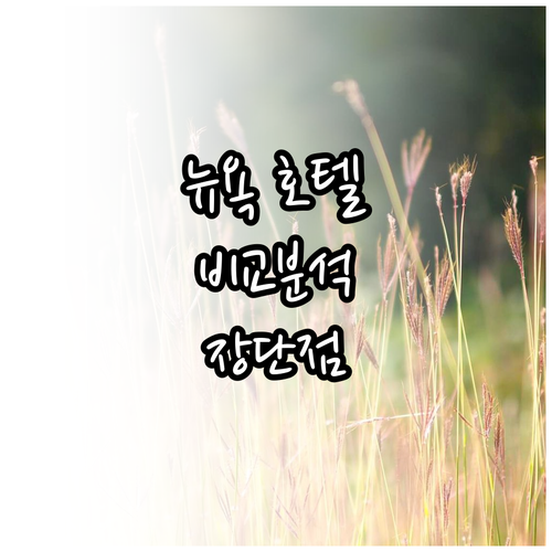 뉴욕 힐튼 미드타운부터 에디션까지 장단점 비교 분석 뉴욕 힐튼 미드타운부터 에디션까지 장