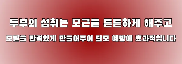  두부의 섭취는 모근을 튼튼하게 해주고 모발을 탄력있게 만들어주어 탈모 예방에 효과적입니다