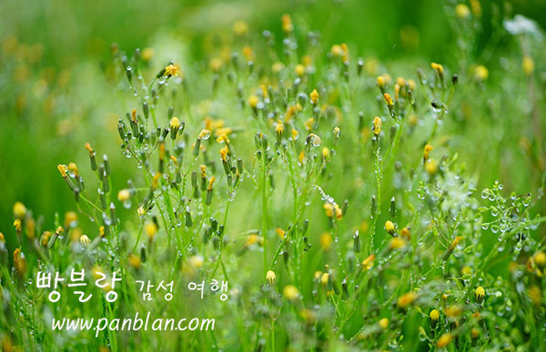 생(生) 이미지
