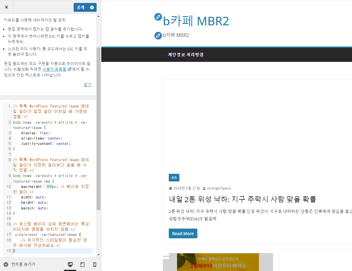 외모 > 사용자 정의하기 > 추가 CSS