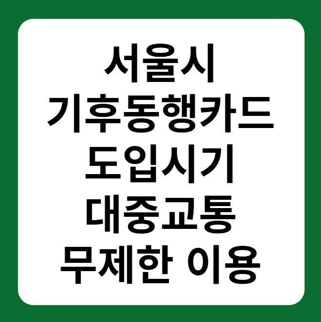 서울 기후동행카드 도입 시기