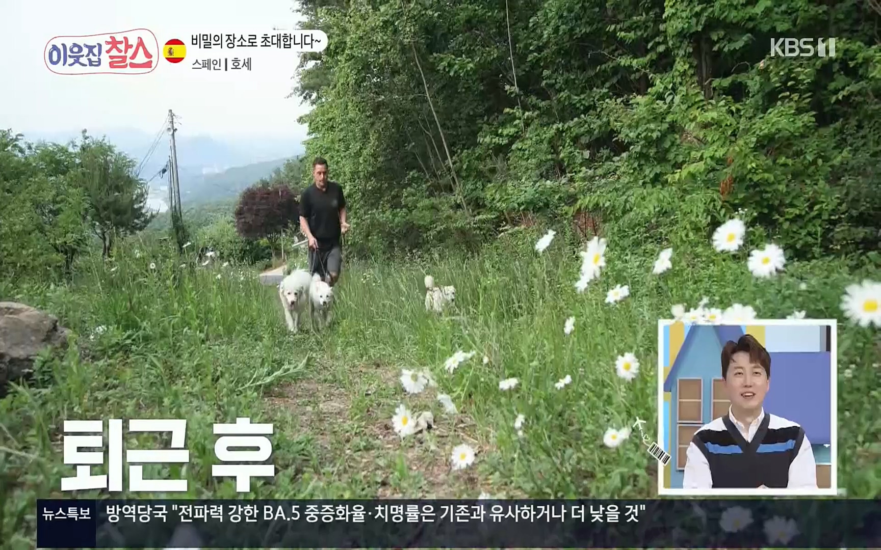 이웃집 찰스.E347.220719p.H264-F1RST.mp4_20220720_203925.104.jpg