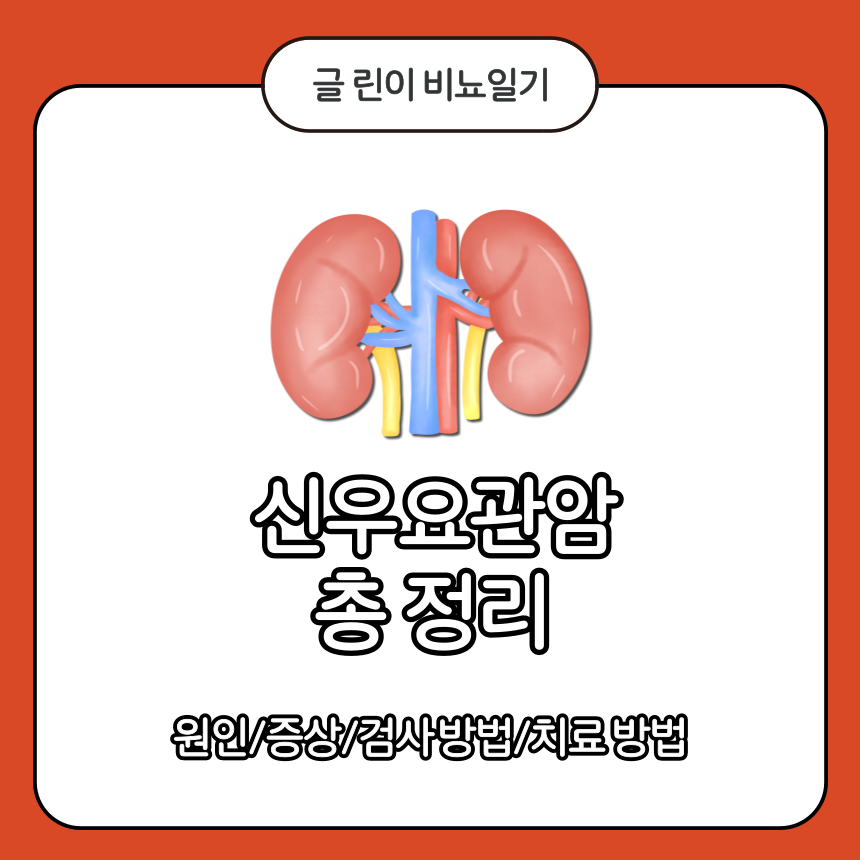  신우요관암 총 정리 : 원인/증상/검사 방법/치료 방법