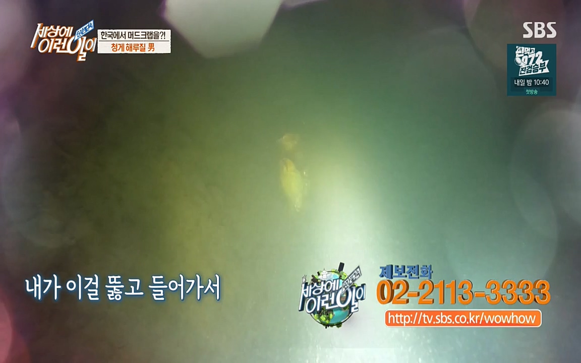 순간포착 세상에 이런일이.E1195.220831p-NEXT.mp4_20220831_201235.898.jpg