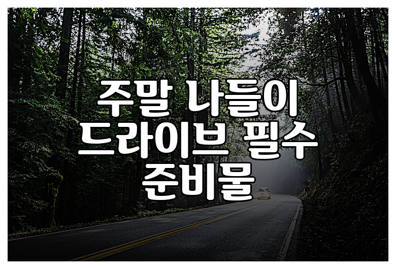 주말 나들이 드라이브 필수 준비물