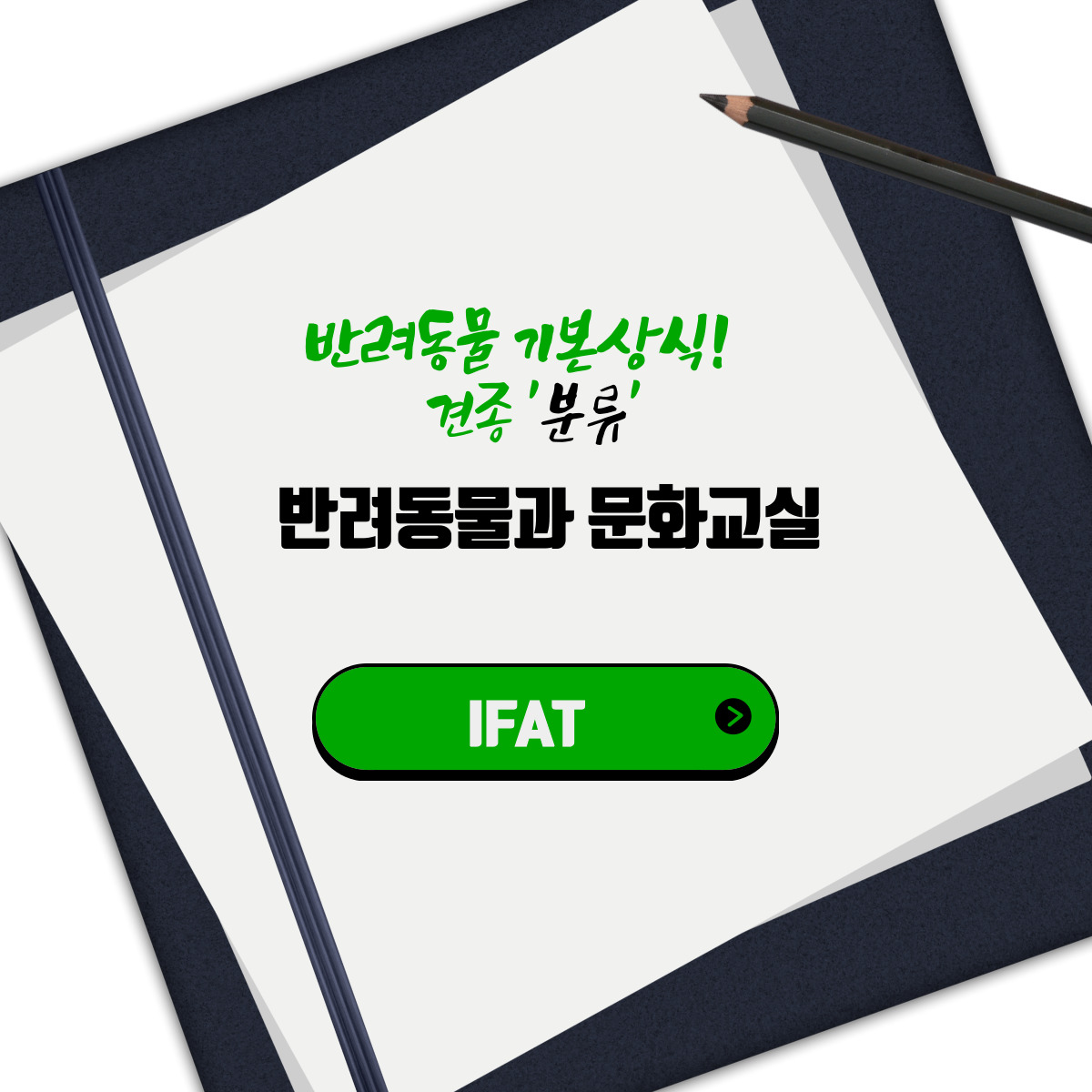  반려동물 기본상식! 견종 '분류'