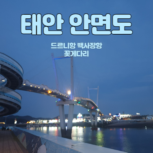 태안 드르니항 백사장항 꽃게다리