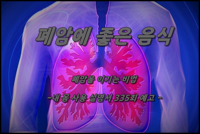  폐암 초기증상 폐암에 좋은 음식 - 내 몸 사용 설명서 폐암에서 벗어날 비법 공개