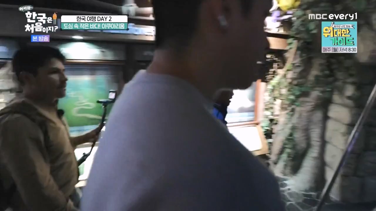 어서와 한국은 처음이지 시즌2.E290.231124p-NEXT.mp4_20231124_205337.396.jpg
