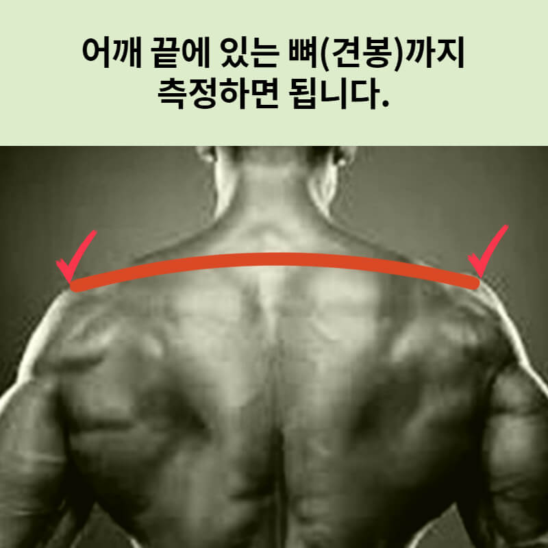 남자 평균 어깨 넓이 사이즈는? (측정방법, 추천운동)