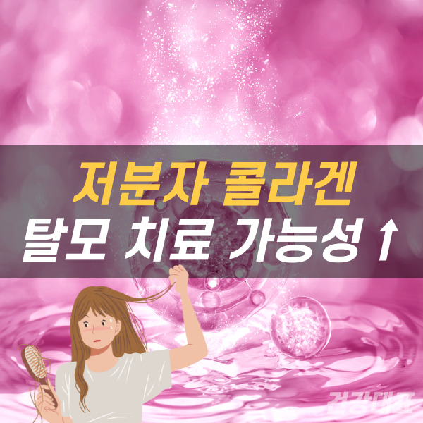 저분자 콜라겐 펩타이드 효능 목록