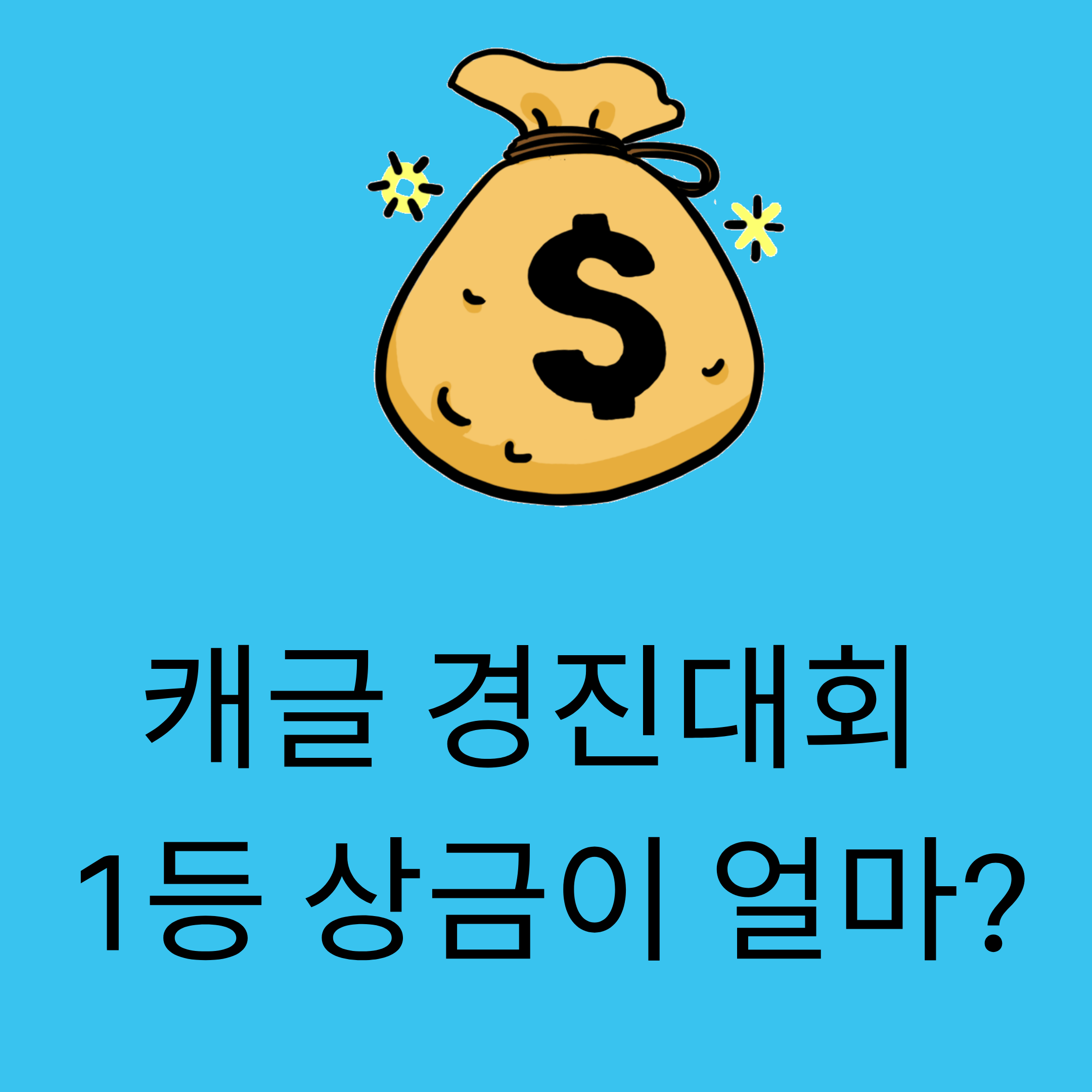  캐글, 누구냐 넌?