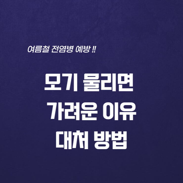  모기 물리면 가려운 이유, 대처 방법